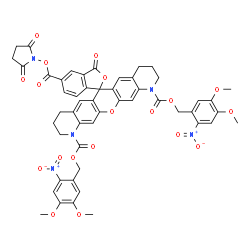 ortho-nitroveratryloxycarbonyl-Q-rhodamine-5-succinimidyl ester picture