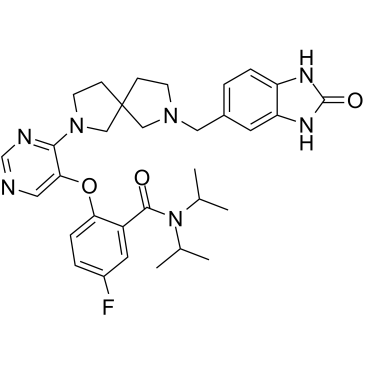 2169916-13-4 structure