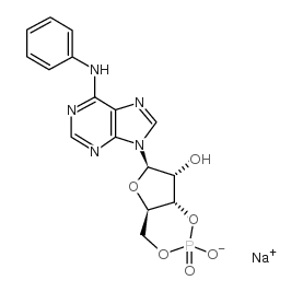 6-phe-camp sodium salt Structure