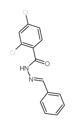 Benzoic acid,2,4-dichloro-, 2-(phenylmethylene)hydrazide picture