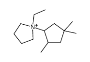 1-ethyl-1-(2,4,4-trimethylcyclopentyl)pyrrolidin-1-ium Structure