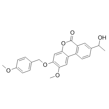 Palomid 529 Structure