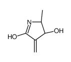 (4S,5S)-4-hydroxy-5-methyl-3-methylidenepyrrolidin-2-one Structure