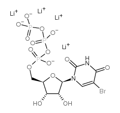 93882-11-2结构式