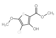 Methyl 4-chloro-3-hydroxy-5-methoxythiophene-2-carboxylate structure