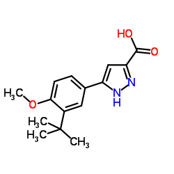 5-(3-tert-Butyl-4-methoxyphenyl)-1H-pyrazole-3-carboxylic acid Structure