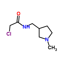 2-Chloro-N-[(1-methyl-3-pyrrolidinyl)methyl]acetamide图片