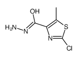 2-chloro-5-methyl-1,3-thiazole-4-carbohydrazide结构式