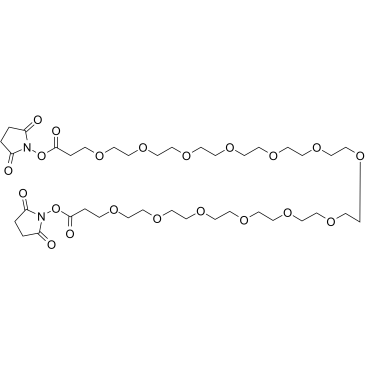 Bis-PEG13-NHS ester structure