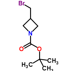 N-(tert-Butoxycarbonyl)-3-bromomethylazetidine picture