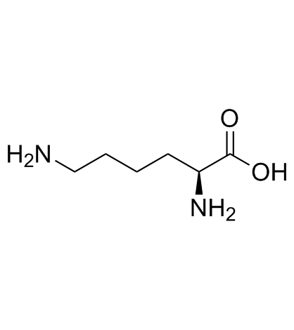 L-Lysine Structure