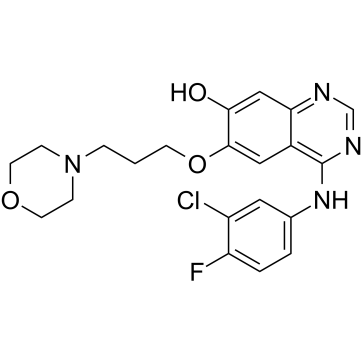 847949-49-9 structure