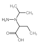 2-(amino-propan-2-yl-amino)butanoic acid picture