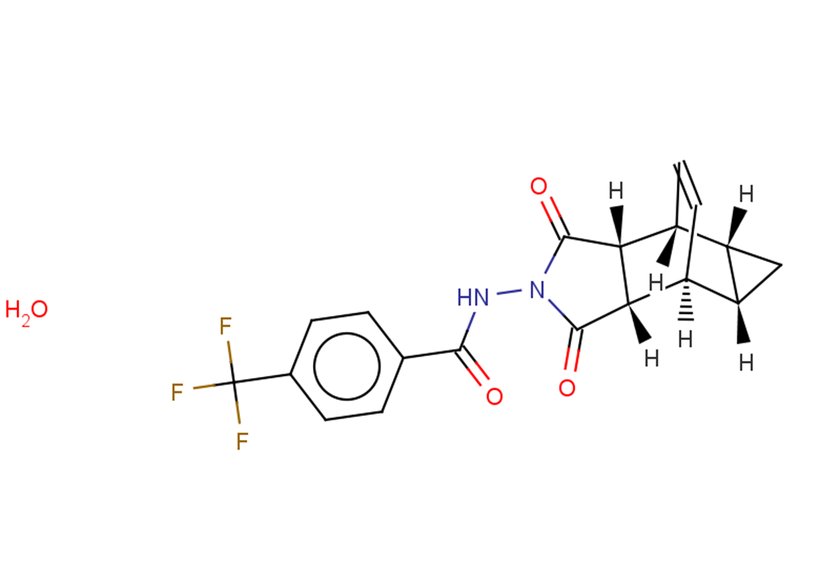 1162664-19-8 structure