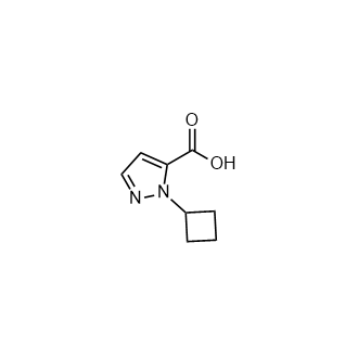 1-环丁基-1H-吡唑-5-羧酸图片