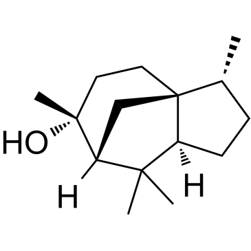 柏木脑图片