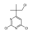 2,4-dichloro-6-(1-chloro-2-methylpropan-2-yl)pyrimidine Structure