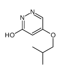 4-(2-methylpropoxy)-1H-pyridazin-6-one结构式