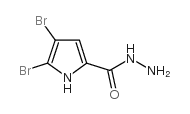 4,5-Dibromo-1H-pyrrole-2-carbohydrazide Structure