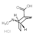 anhydroecgonine hydrochloride结构式