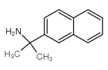 (1-METHYL-1-(NAPHTH-2-YL)ETHYL)AMINE Structure