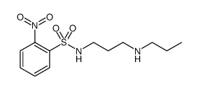 Benzenesulfonamide, 2-nitro-N-[3-(propylamino)propyl] Structure