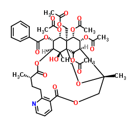 N-咖啡酰基-4-氨基正丁酸结构式