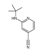 2-(tert-butylamino)isonicotinonitrile图片