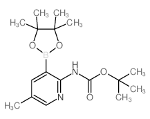 Boc-2-Amino-5-methylpyridine-3-boronic acid pinacol ester图片