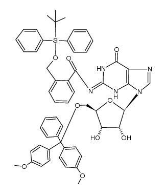 5'-O-(4,4'-dimethoxytrityl)-2-N-[2-[(tert-butyldiphenylsilyloxy)methyl]benzoyl]guanosine Structure