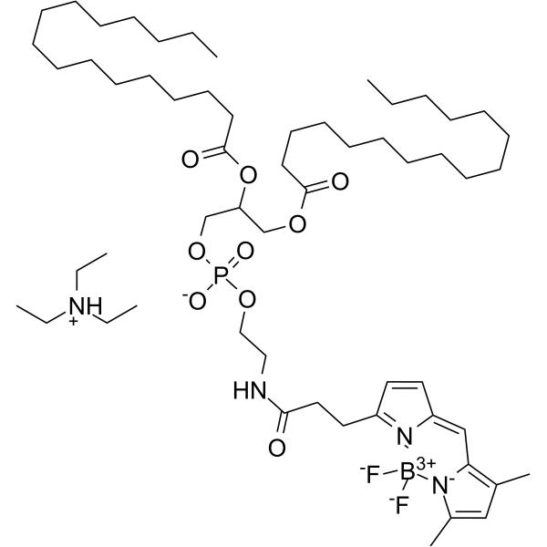 BODIPY FL-DHPE Structure