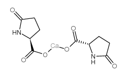 calcium pidolate picture