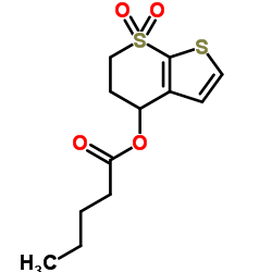 339018-99-4 structure