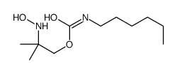 [2-(hydroxyamino)-2-methylpropyl] N-hexylcarbamate结构式