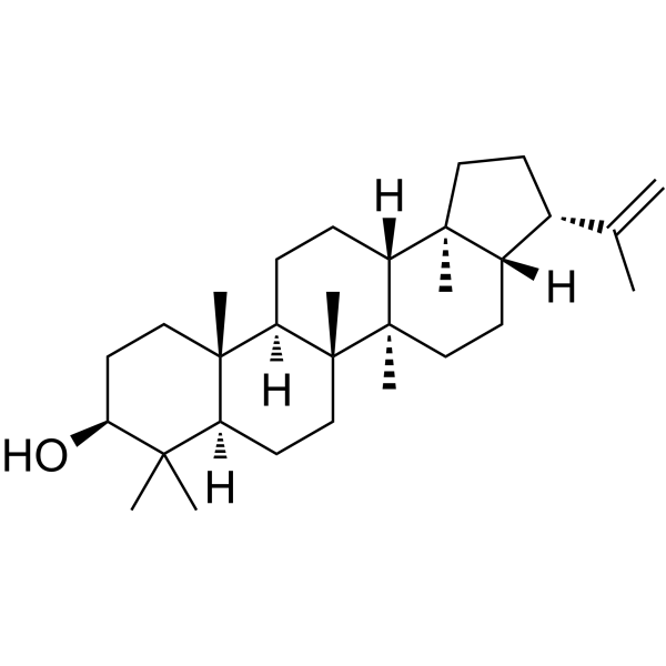 58801-23-3 structure