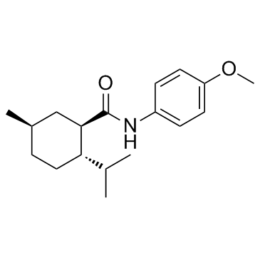 WS 12 Structure