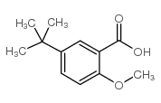 5-tert-Butyl-2-methoxybenzoic acid Structure