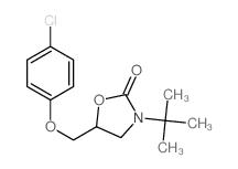 5-[(4-chlorophenoxy)methyl]-3-tert-butyl-oxazolidin-2-one结构式