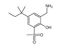 2-(aminomethyl)-4-(2-methylbutan-2-yl)-6-methylsulfonylphenol结构式