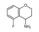 5-氟苯并二氢吡喃-4-胺图片