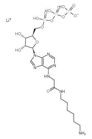 n6-([6-aminohexyl]carbamoyl-methyl)adenosine 5'-triphosphate lithium salt Structure