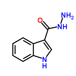 吲哚-3-甲酰肼结构式