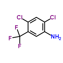 2,4-二氯-5-(三氟甲基)苯胺图片