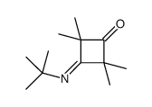 3-tert-butylimino-2,2,4,4-tetramethylcyclobutan-1-one结构式