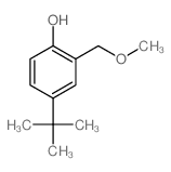 Phenol,4-(1,1-dimethylethyl)-2-(methoxymethyl)-结构式