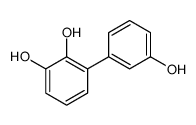 [1,1-Biphenyl]-2,3,3-triol (9CI)结构式