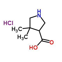 4,4-Dimethylpyrrolidine-3-carboxylic acid hydrochloride structure