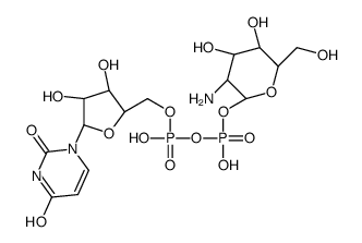 UDP-glucosamine picture