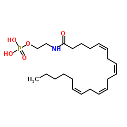 Arachidonoyl Ethanolamide Phosphate Structure