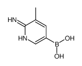 6-Amino-5-methylpyridine-3-boronic acid Structure